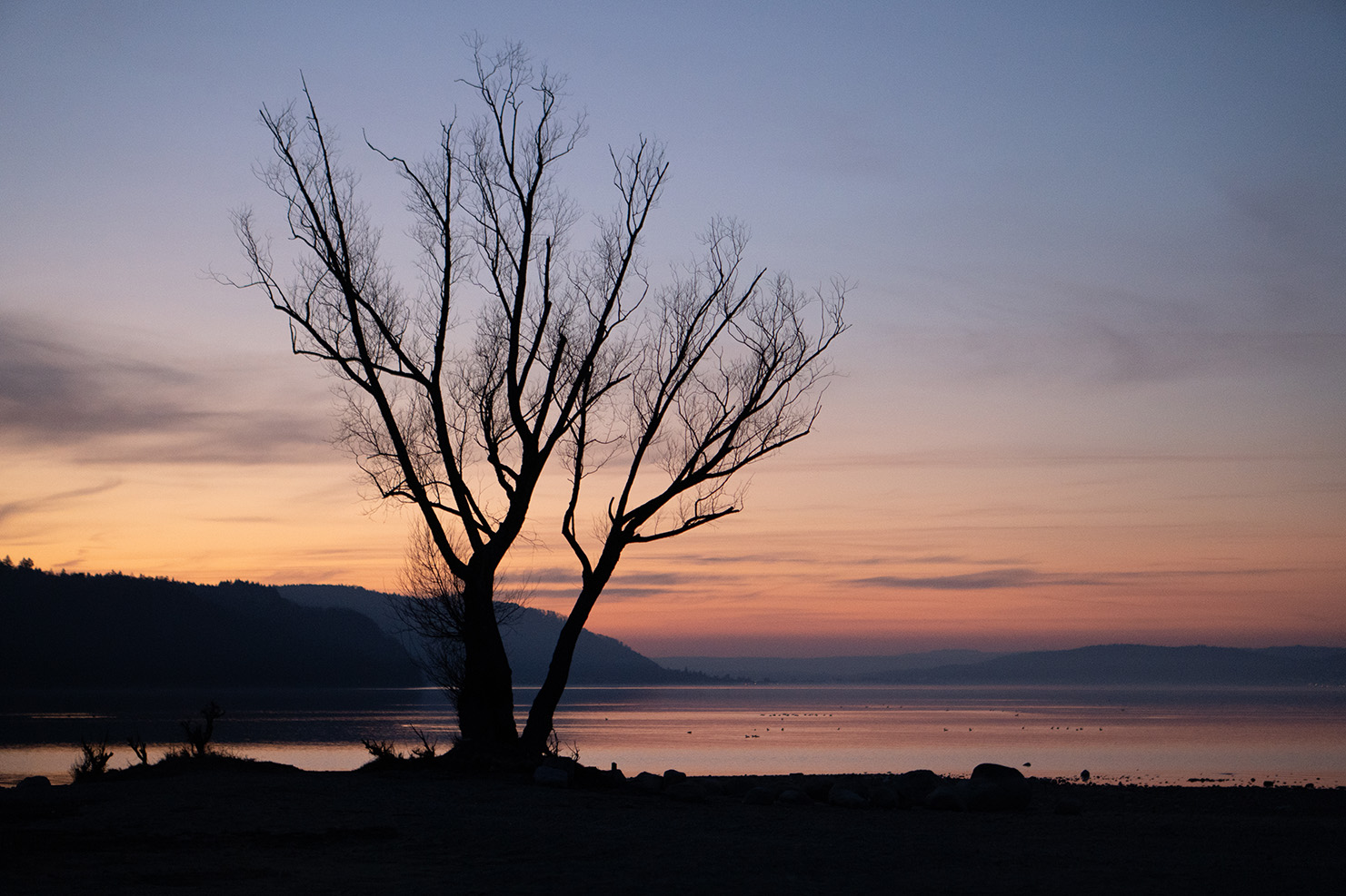 Bodensee Landschaft